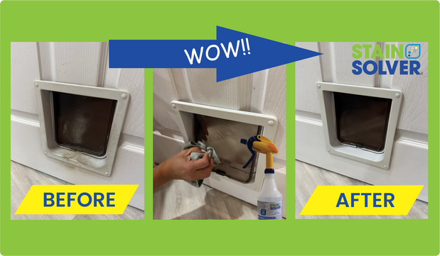 How We Cleaned Milo’s Dirty Cat Door With Stain Solver