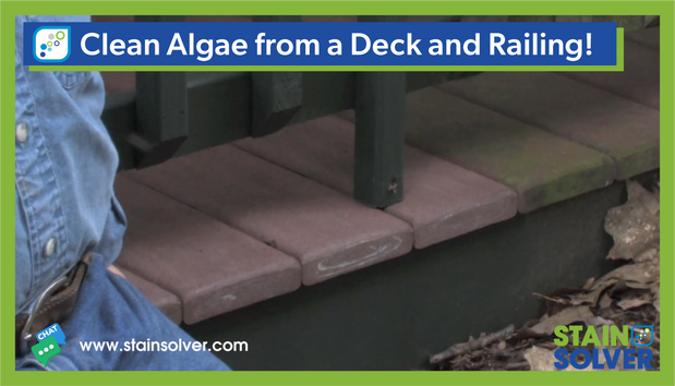 How to Remove Algae from Decks, Railings, Patios, and Other Exterior Surfaces with Stain Solver
