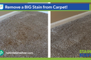 How to Clean Carpet Stains with Stain Solver Before a Rental Turnover