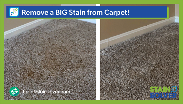 How to Clean Carpet Stains with Stain Solver Before a Rental Turnover