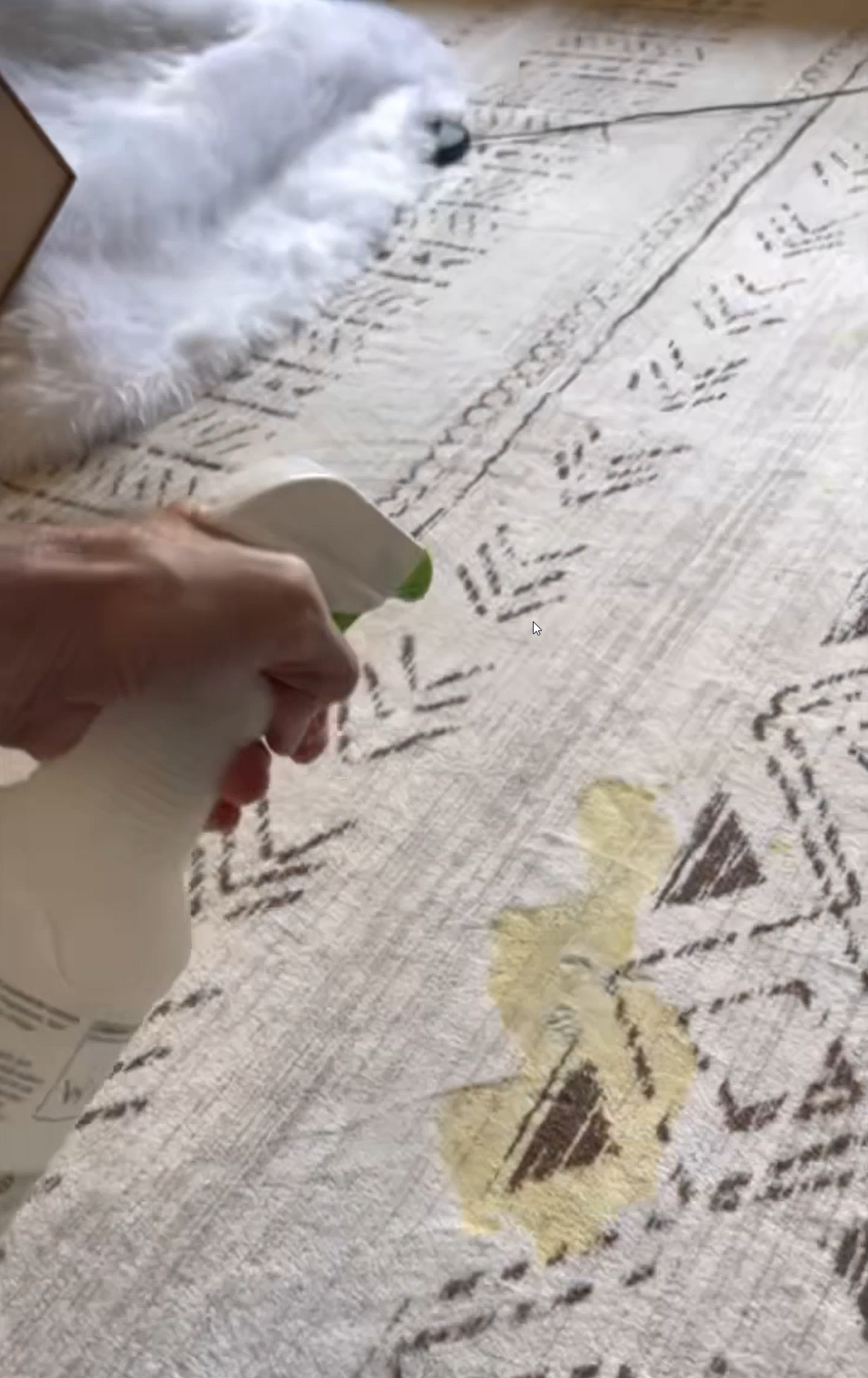 "Saved my carpet"