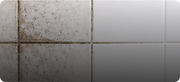 Grout & Tile