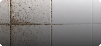 Grout & Tile