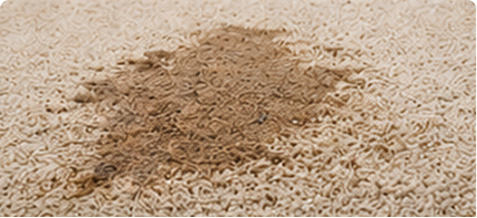 Home surfaces